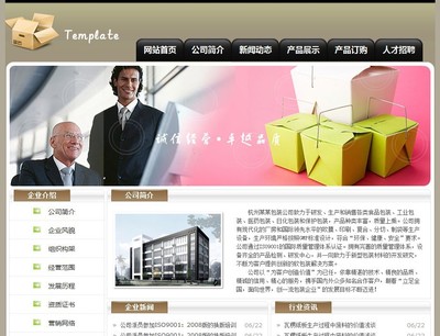 商务服务 企业网站建设 网页设计 独立域名