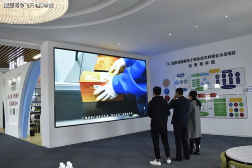 县委常委、宣传部部长甘占芳一行莅临电子商务公共服务中心指导商务服务工作