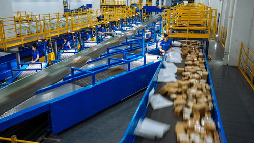 春节快递不打烊 多家公司回应，商务服务不打烊成新常态